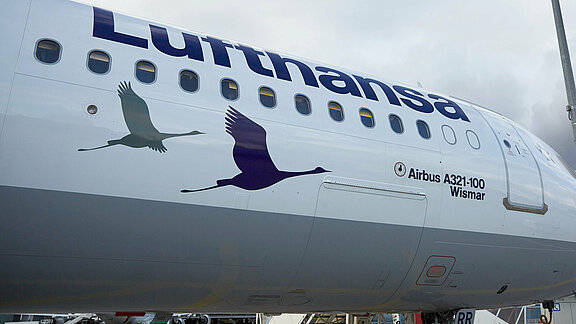 Kranich Sonderlackierung am Airbus A321-100 "Wismar" Kranich Sonderlackierung am Airbus A321-100 "Wismar"