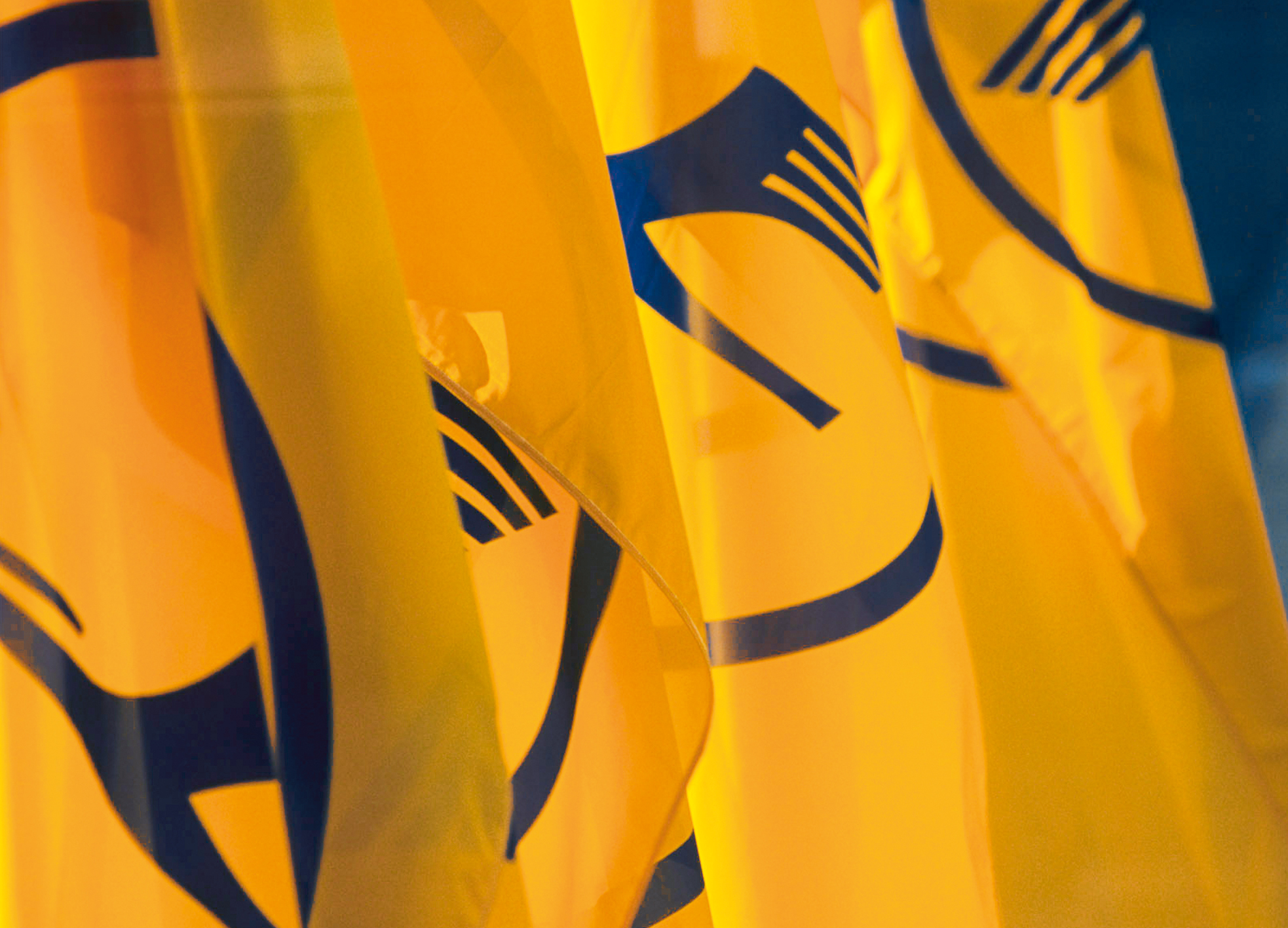 The crane, Lufthansa's corporate logo, is known worldwide for excellence in flying and technology.